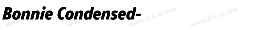 Bonnie Condensed字体转换
